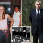 Andrew Mountbatten-Windsor perguntou a Ghislaine Maxwell se ela havia encontrado para ele 'novos amigos inadequados' em um e-mail de agosto de 2001