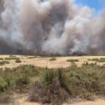 'Ansioso por essa colheita': incêndio termina em desgosto para a família Kowald