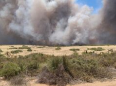 ‘Ansioso por essa colheita’: incêndio termina em desgosto para a família Kowald 'Ansioso por essa colheita': incêndio termina em desgosto para a família Kowald