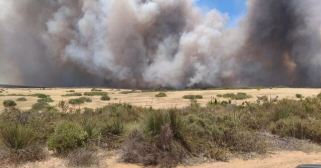 'Ansioso por essa colheita': incêndio termina em desgosto para a família Kowald

