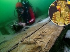 Antigo ‘barco de recreio’ descoberto perto das ruínas do palácio ligado à rainha mais controversa da história Antigo 'barco de recreio' descoberto perto das ruínas do palácio ligado à rainha mais controversa da história