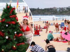As festividades de Natal voltam a Bondi As festividades de Natal voltam a Bondi