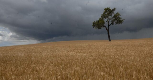 As pressões sobre os preços prejudicam os níveis de confiança dos agricultores em 2026
