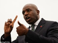 As prisões trabalhistas envergonham quando Calamity Lammy revela que mais 12 presos foram libertados por engano no mês passado Secretário de Justiça David Lammy