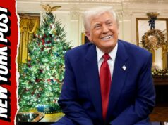Assista ao vivo: Trump atende ligações de crianças do Papai Noel do NORAD, agradece às tropas Assista ao vivo: Trump atende ligações de crianças do Papai Noel do NORAD, agradece às tropas