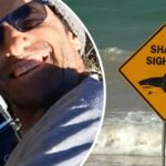 Ataques mortais de tubarões geram plano de drones de US$ 2,5 milhões nas praias de NSW