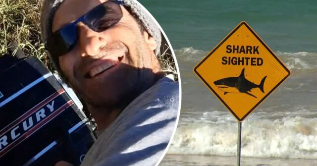 Ataques mortais de tubarões geram plano de drones de US$ Ataques mortais de tubarões geram plano de drones de US$ 2,5 milhões nas praias de NSW