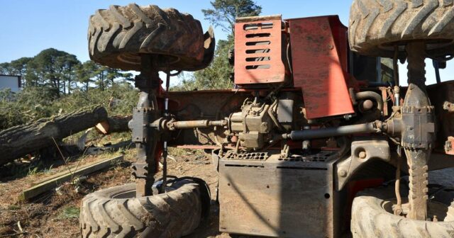 Aumento de mortes em fazendas: o que nossas terríveis taxas de acidentes significam para sua conta de seguro
