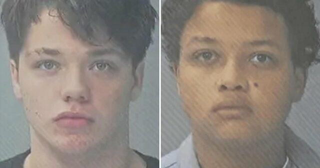 Autoridades acusam adolescentes de assassinato 'horrível' de menina por causa Adolescentes da Flórida atraíram uma menina de 14 anos para a floresta antes de matá-la com um tiro e colocar fogo no corpo. Danika Troy deixou a irmã vista 116