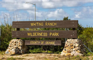 Autoridades fecham parque dos EUA devido a avistamentos: ‘Super fora do comum’ Yahoo news home