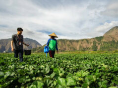 BRI MSME Business Index Trimestre III-2025: A expansão continua, o otimismo dos atores empresariais aumenta BRI MSME Business Index Trimestre III-2025: A expansão continua, o otimismo dos atores empresariais aumenta