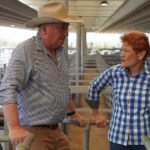Barnaby Joyce se junta a Pauline Hanson, citando relacionamento 'incongruente' com os Nationals