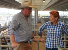 Barnaby Joyce se junta a Pauline Hanson, citando relacionamento ‘incongruente’ com os Nationals Barnaby Joyce se junta a Pauline Hanson, citando relacionamento 'incongruente' com os Nationals