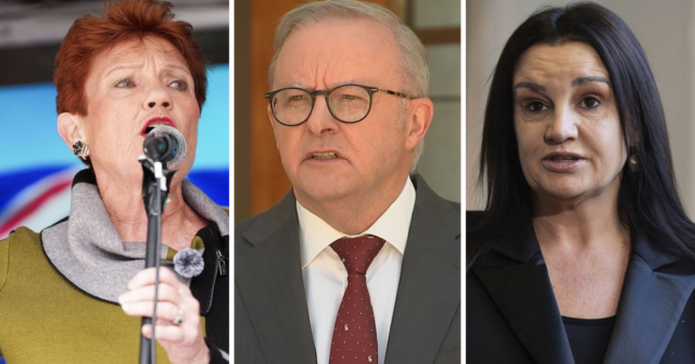 Boas notícias na nova enquete para Hanson – mas quem Boas notícias na nova enquete para Hanson – mas quem é o nosso político mais querido?