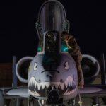 Bombardeio aéreo dos EUA atinge 'bandidos do ISIS' na Síria