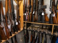 Bondi para o mato: agricultores se preparam para a maior revisão da lei sobre armas em 30 anos Bondi para o mato: agricultores se preparam para a maior revisão da lei sobre armas em 30 anos