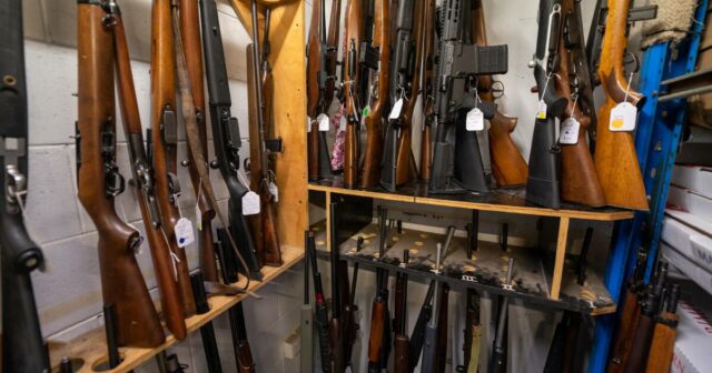 Bondi para o mato: agricultores se preparam para a maior revisão da lei sobre armas em 30 anos
