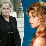 Brigitte Bardot, 91 anos, diz que um ‘milagre’ a salvou de múltiplas tentativas de suicídio