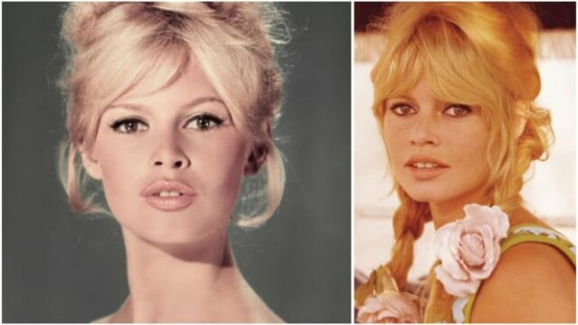 Brigitte Bardot morre aos 91 anos, este é seu perfil e trajetória profissional
