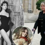 Brigitte Bardot, símbolo sexual sensual dos anos 1960 que se tornou ativista militante dos direitos dos animais, morta aos 91 anos