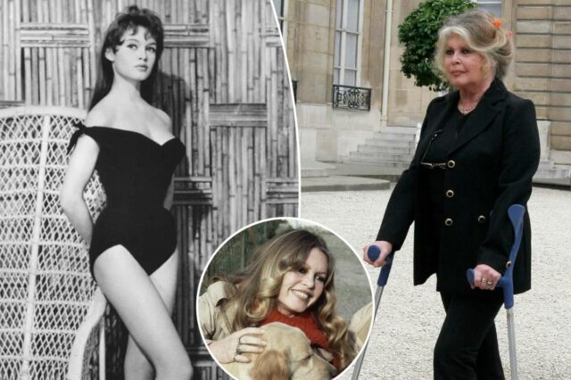 Brigitte Bardot, símbolo sexual sensual dos anos 1960 que se tornou ativista militante dos direitos dos animais, morta aos 91 anos
