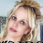 britney spears irs insta principal