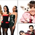 irmãs nader shutterstock sub 5