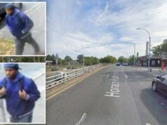 Brute dá soco em menina de 14 anos indo para a academia em ataque não provocado em Nova York: policiais, fontes Brute dá soco em menina de 14 anos indo para a academia em ataque não provocado em Nova York: policiais, fontes