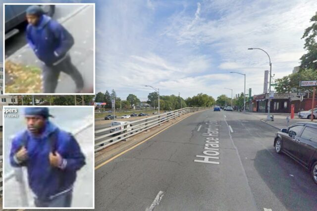 Brute dá soco em menina de 14 anos indo para a academia em ataque não provocado em Nova York: policiais, fontes
