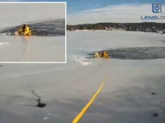 Cachorro preso no meio de lago congelado em Nova Jersey é salvo por ousado policial Cachorro preso no meio de lago congelado em Nova Jersey é salvo por ousado policial