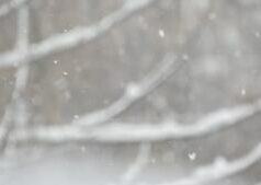 Caminhantes de Massachusetts resgatados em New Hampshire, um acusado de porte de álcool Caminhantes de Massachusetts resgatados em New Hampshire, um acusado de porte de álcool