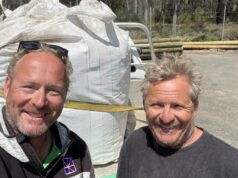 Cânhamo aclamado como herói do material habitacional pela sustentabilidade e robustez Cânhamo aclamado como herói do material habitacional pela sustentabilidade e robustez