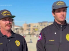 Cão de resgate de salva-vidas levado para o mar pela correnteza de San Diego Yahoo news home