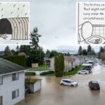 Cartoon PSA aconselha dar descarga em ratos se subirem e invadirem banheiros – e a mídia social enlouquece