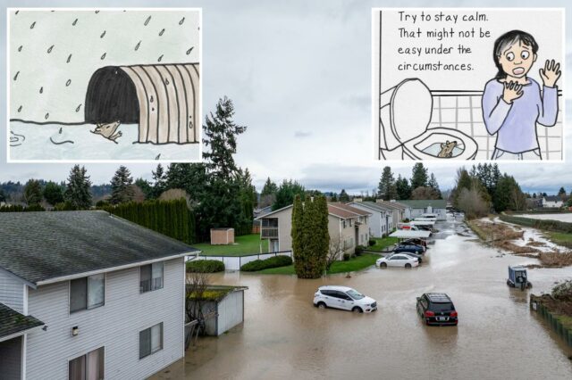 Cartoon PSA aconselha dar descarga em ratos se subirem e invadirem banheiros – e a mídia social enlouquece
