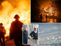 Casa Branca critica Newsom depois que o governo afirma que o administrador de Trump recusou reunião de ajuda a incêndios florestais em Los Angeles: ‘Não tenho ideia do que ele está falando’ Casa Branca critica Newsom depois que o governo afirma que o administrador de Trump recusou reunião de ajuda a incêndios florestais em Los Angeles: 'Não tenho ideia do que ele está falando'