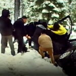 Yahoo entertainment home