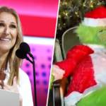 Céline Dion canta 'All By Myself' no Natal ... como o Grinch