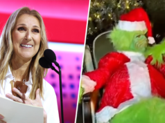Céline Dion canta ‘All By Myself’ no Natal … como o Grinch Céline Dion canta 'All By Myself' no Natal ... como o Grinch