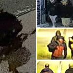 Centenas de artefatos roubados do Museu de Bristol