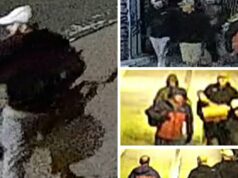 Centenas de artefatos roubados do Museu de Bristol Centenas de artefatos roubados do Museu de Bristol