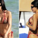 1222-Chantel-Jeffries-Beach-Animal-Print-Bikini-Sub1