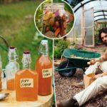 Chef famoso compartilha receita 'antiga' de cidra de fogo que 'dá a você um escudo protetor' de imunidade - especialmente no inverno