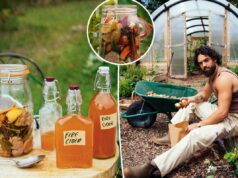 Chef famoso compartilha receita ‘antiga’ de cidra de fogo que ‘dá a você um escudo protetor’ de imunidade – especialmente no inverno Chef famoso compartilha receita 'antiga' de cidra de fogo que 'dá a você um escudo protetor' de imunidade - especialmente no inverno