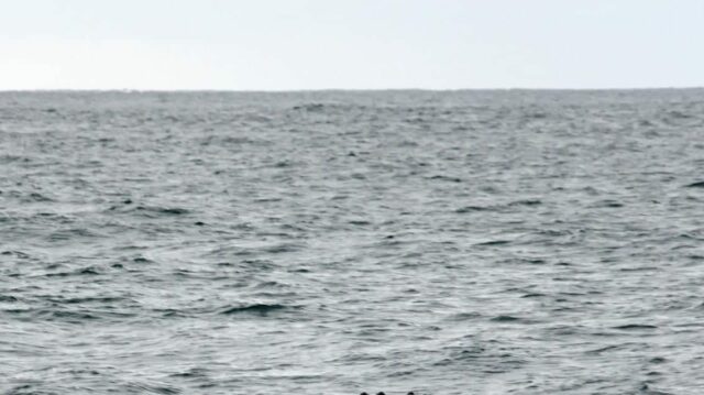 Cientistas comemoram a história pela primeira vez depois de capturar Yahoo news home