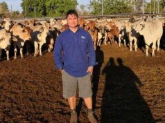 Cinco restaurantes e aumentando: demanda das Filipinas por foguetes de gado australianos Cinco restaurantes e aumentando: demanda das Filipinas por foguetes de gado australianos