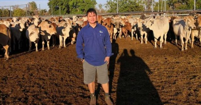 Cinco restaurantes e aumentando: demanda das Filipinas por foguetes de gado australianos
