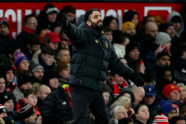 Gráfico FT vs Lobos