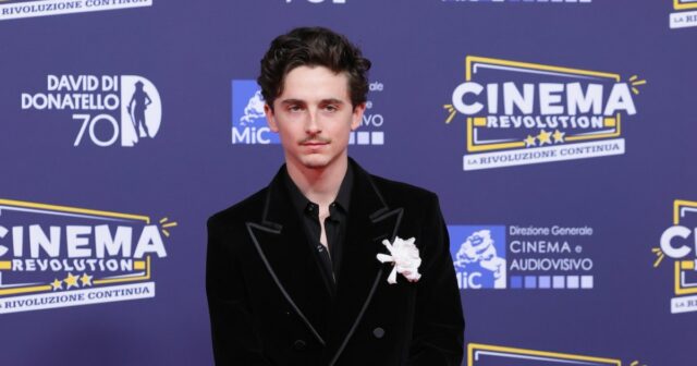 Comentários de 'nível superior' de Timothee Chalamet provocam reações mistas RK_2342 Adam Sandler e Timothee Chalamet jogam basquete