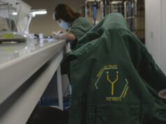 Como a realidade esmagou a Ÿnsect, a startup francesa que arrecadou mais de US$ 600 milhões para a criação de insetos "Ÿnsect We Trust"